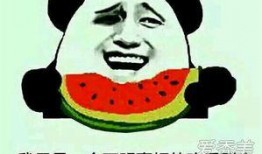 在线吃瓜的意思 朝阳吃瓜群众最新网站,揭秘最新网站，畅享网络“瓜田”盛宴